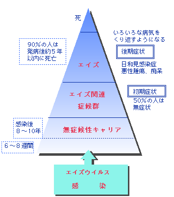 HIV甭a܂